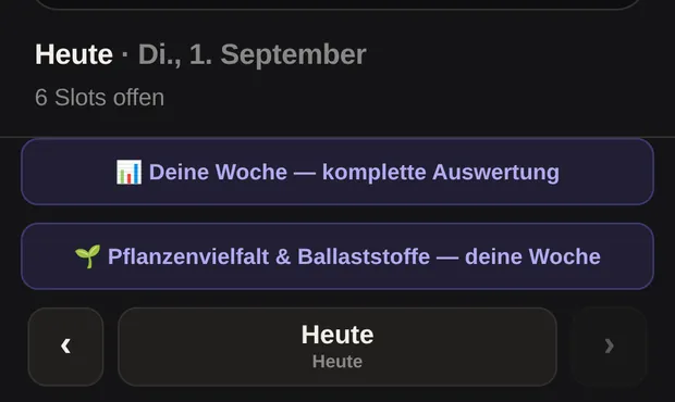 Datum, die beiden Auswertungs-Knöpfe und der Tages-Wechsler