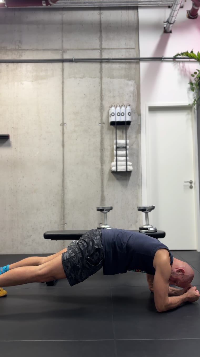 Plank Hold